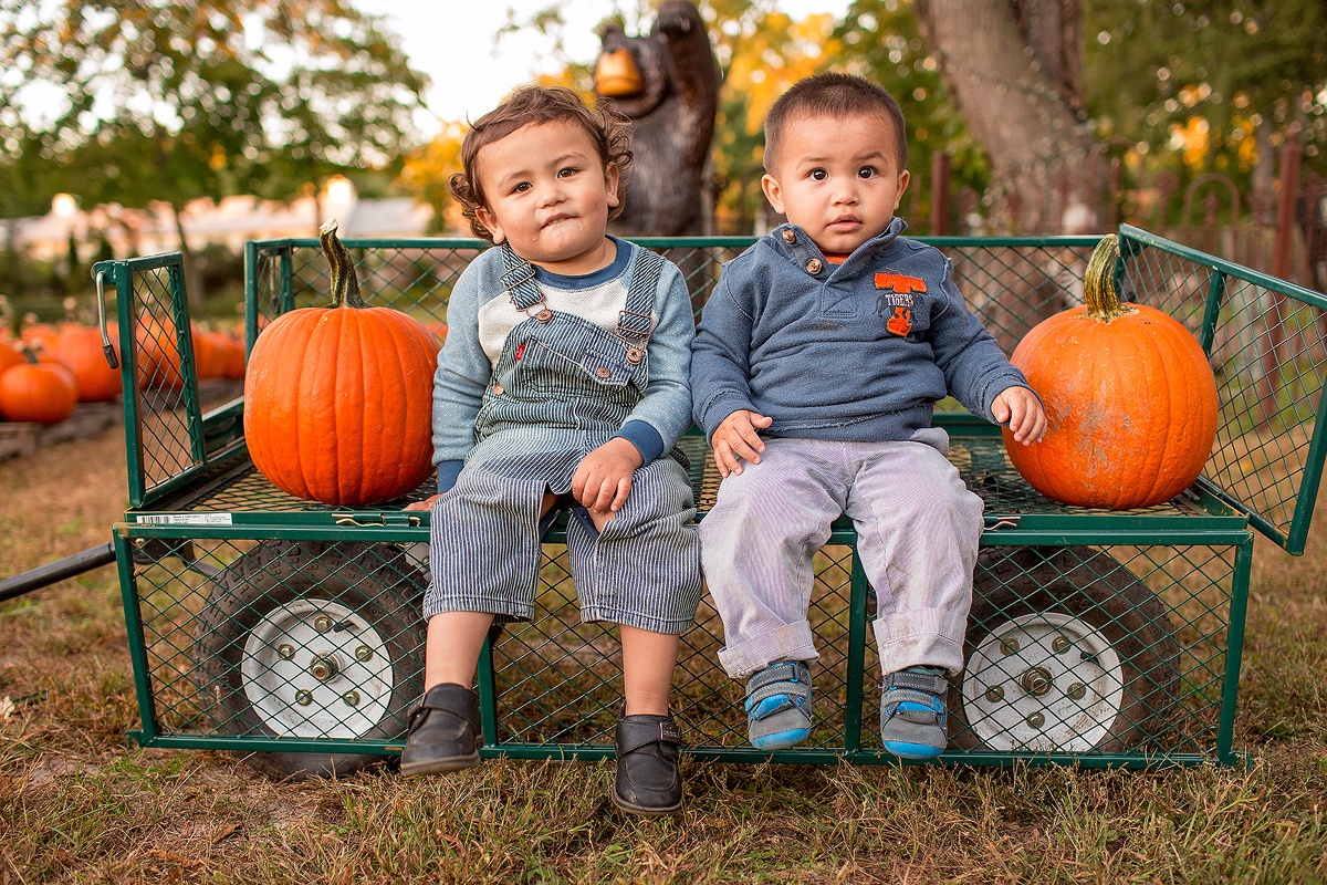 collins ms pumpkin patch