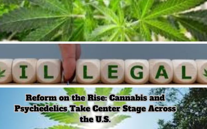 Reform on the Rise: Cannabis and Psychedelics Take Center Stage Across the U.S.