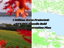 1 Million Acres Protected: NYS DEC Unveils Bold Wetland Conservation Plan